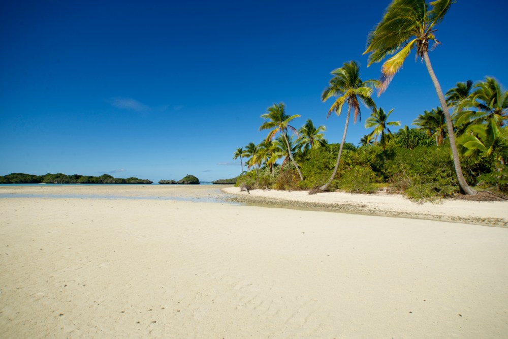 'The Spit' at low tide
