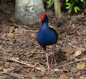 2015_07_08_0178_untitled