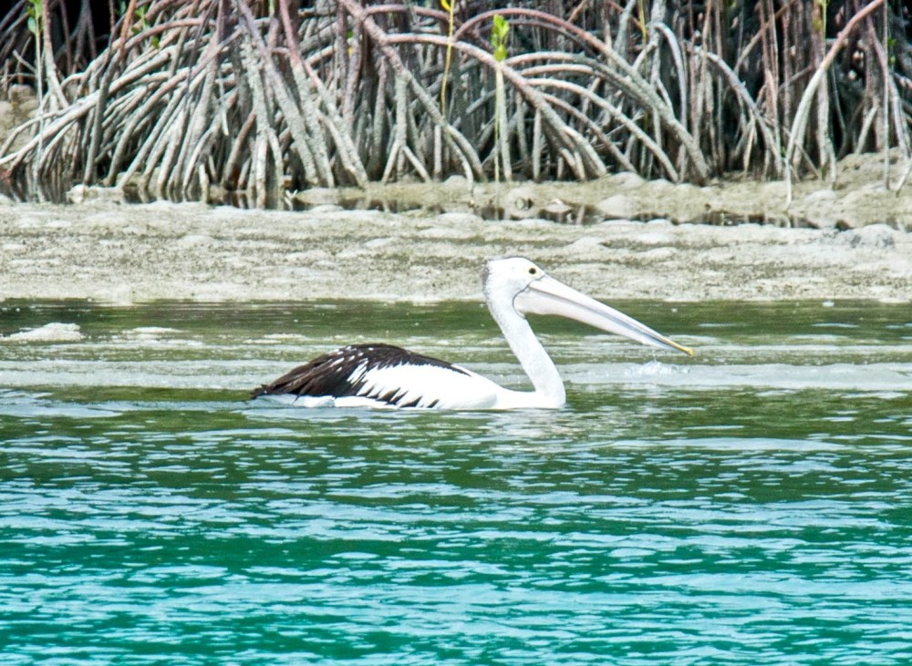 2015_07_18_0021_untitled