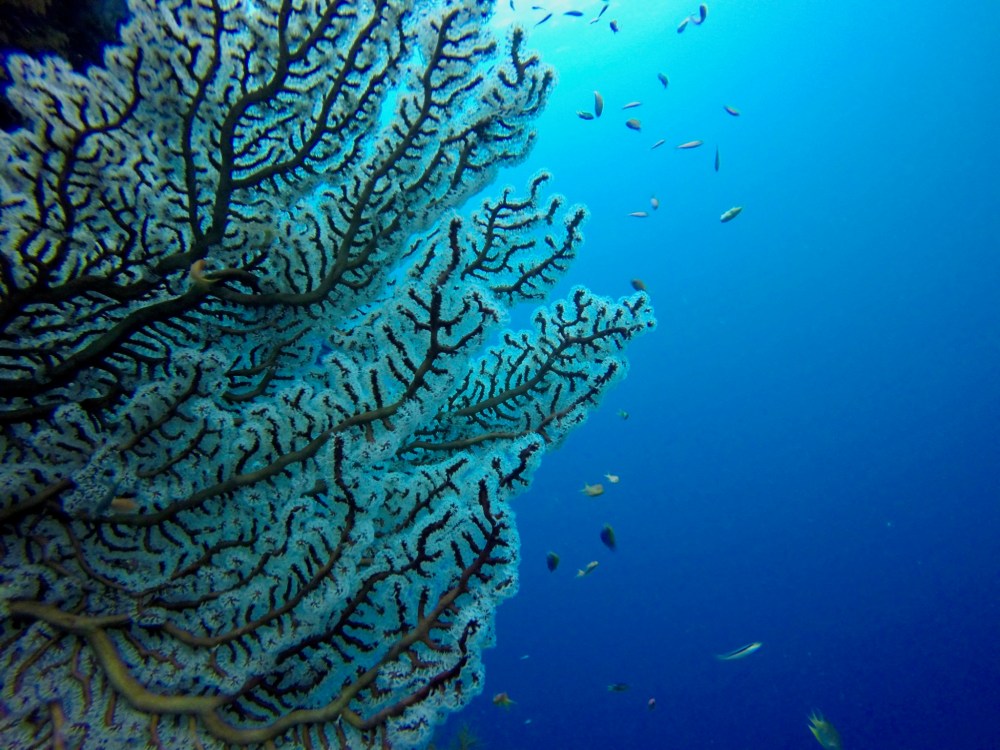 2016_02_17_0059_untitled