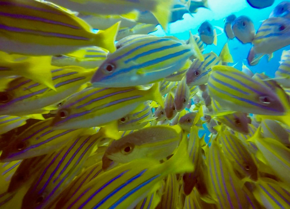 2016_02_23_0018_untitled-2