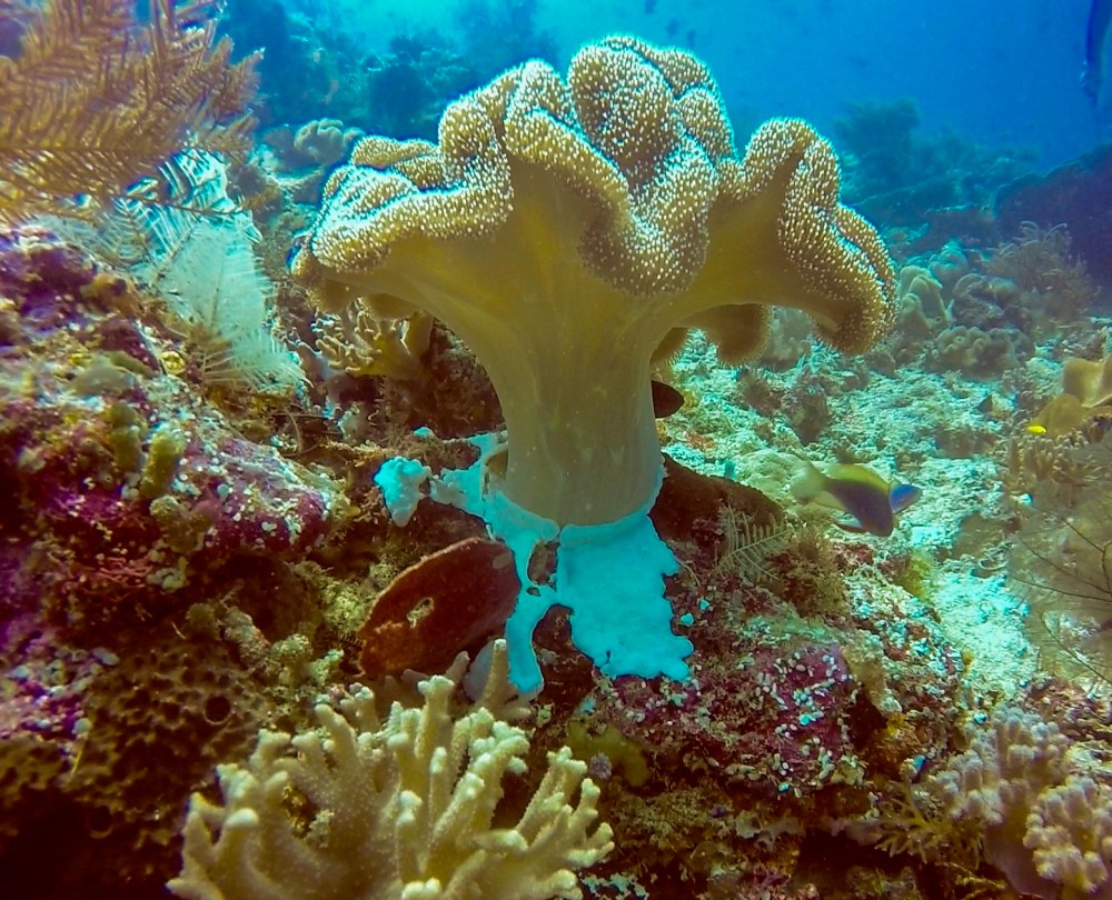 2016_02_23_0027_untitled-1